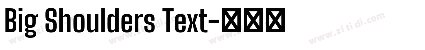 Big Shoulders Text字体转换